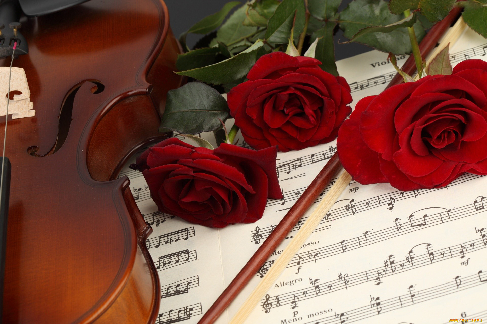 Красивый песни учителям. Цветы для музыканта. Музыкальный букет цветов. Открытка музыканту. Музыкальный цветок.
